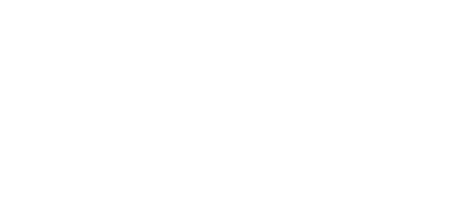 Seeing Eye Dogs - Vision Australia